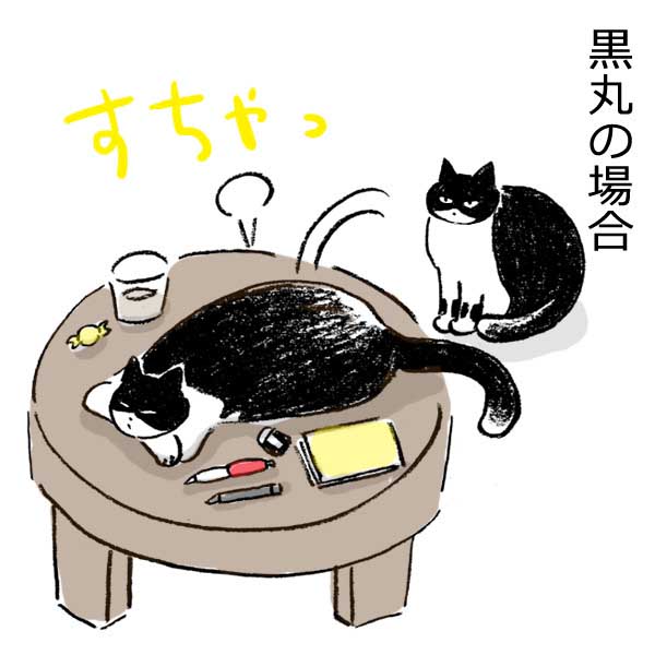 9kgの巨大猫がテーブルに思いきりダイブしたら……という漫画「ちょっとは気を付けて！」