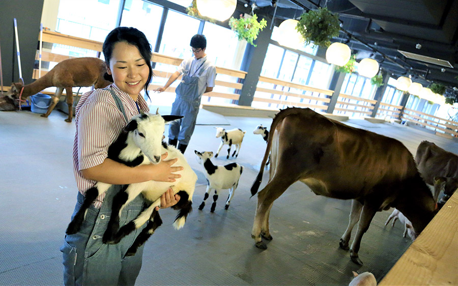 東京駅のすぐそば。アイス作り体験も楽しめる「大手町牧場」は、酪農の未来を示す場所