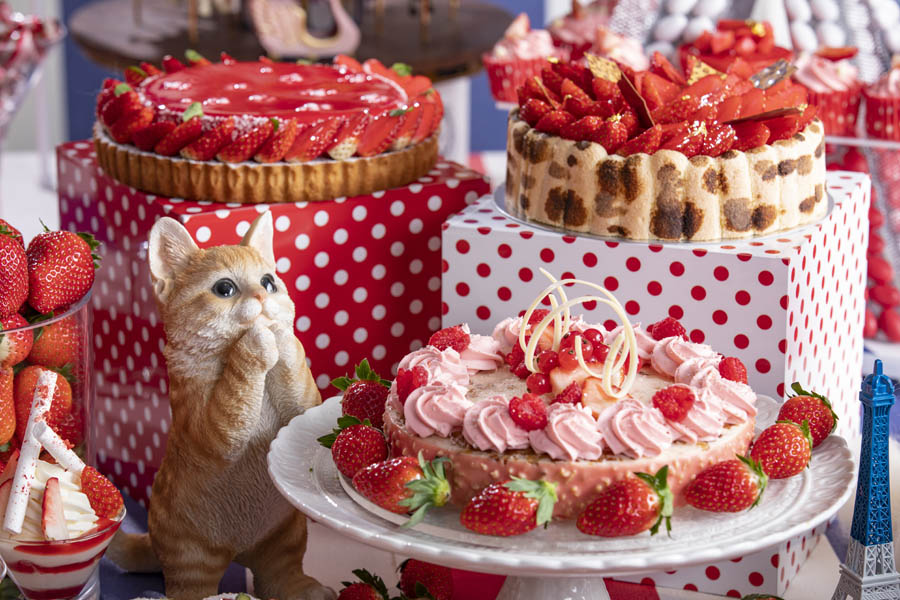 悶絶キュート！　たっぷりいちご&モフモフ猫のビュッフェ、ヒルトン東京で開催中！