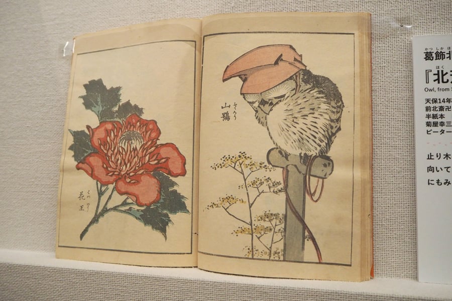 /wp-content/uploads/2019/02/190205_hokusai_03-150x150.jpg