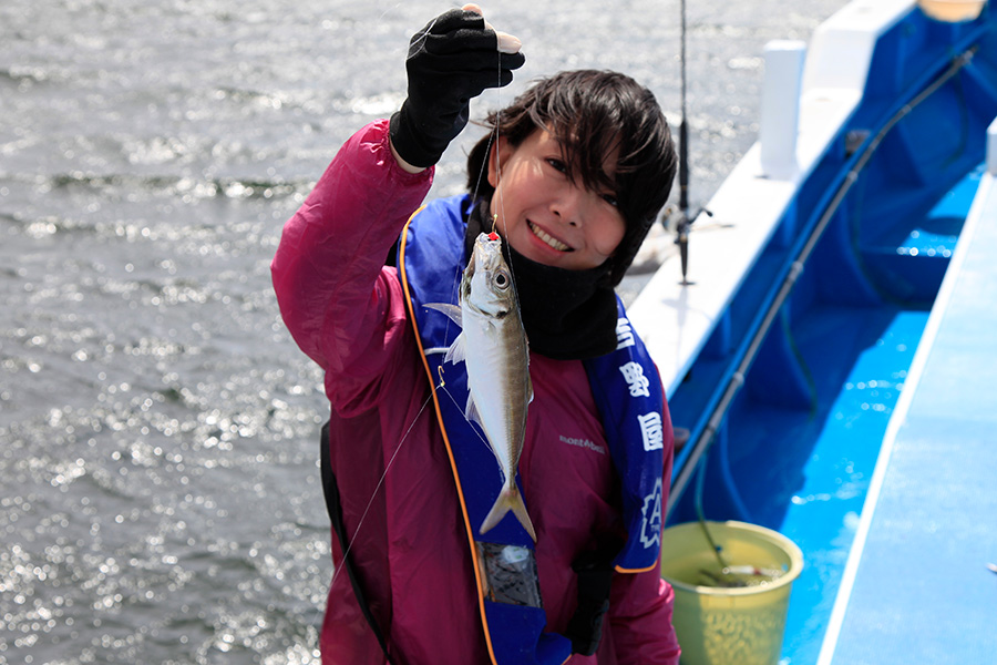 東京湾はアジの「天然いけす」 船釣り体験したら大漁だった！