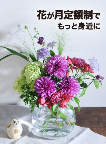 花が月定額制でもっと身近に  定価の半額で購入可 日比谷花壇のサムネイル画像