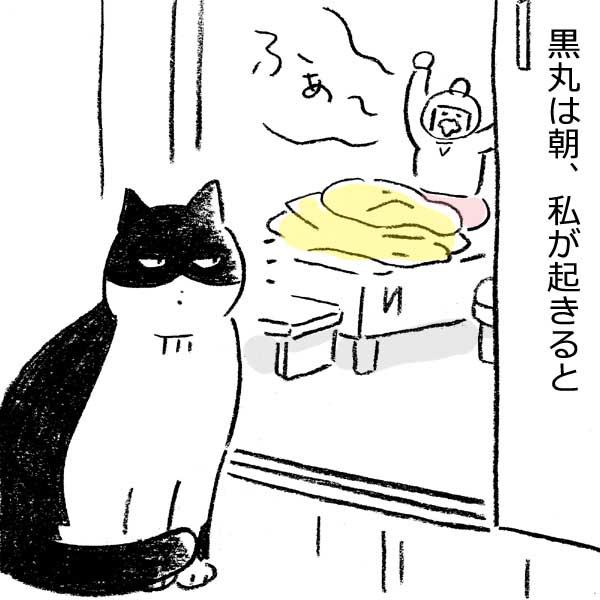 毎朝の「あいさつ」を欠かさない律義な飼い猫を描いた漫画「私はこのぬくもりに生かされている……」