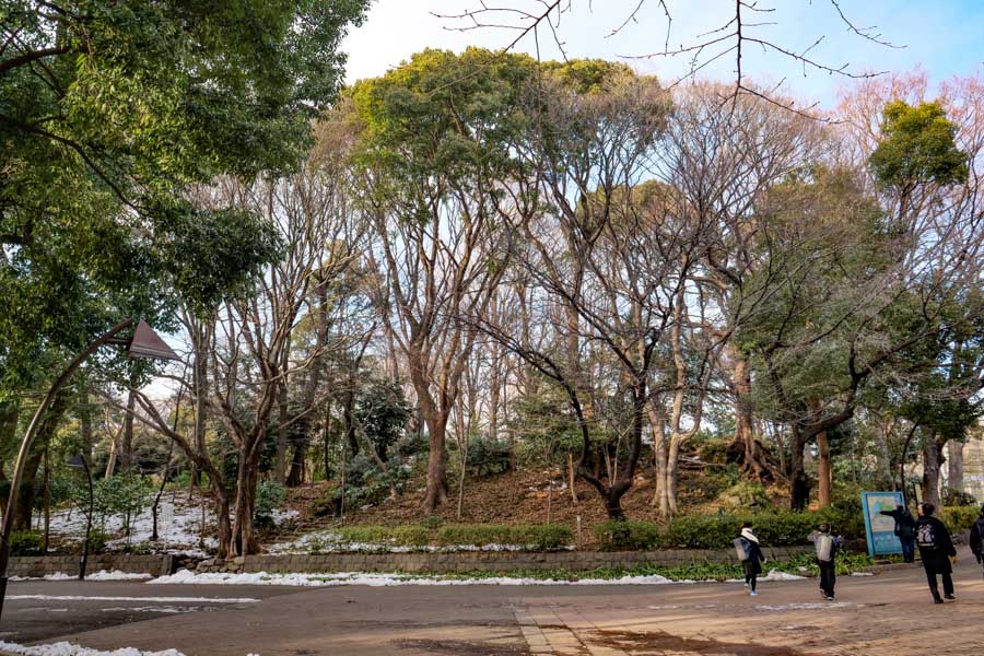 上野公園に知る人ぞ知るマニアックな「前方後円墳」があった