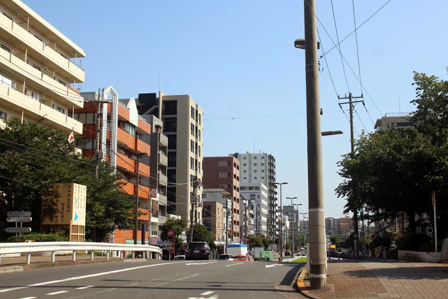 東京湾を一望する景勝地から一転、遊郭に そして戦後現れた「洲崎パラダイス」とは【連載】東京色街探訪（1）