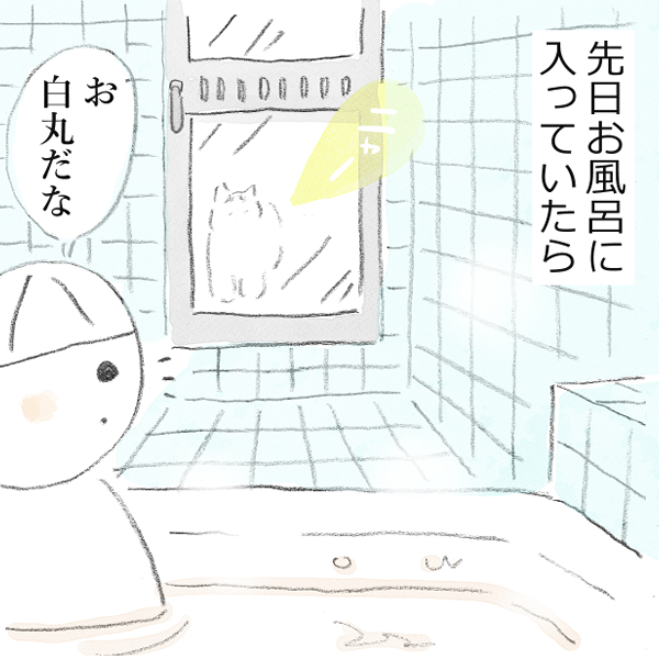 おもむろに風呂場へ現れた飼い猫、何が目的？ を描いた漫画「ホント好きだよね～」