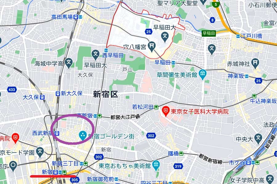 かつて歌舞伎町を流れていた謎の「蟹川」 水源は一体どこにある？【連載】東京うしろ髪ひかれ地帯（11）