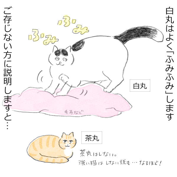 愛くるしい猫の「ふみふみ」、でも巨大猫の場合は困り事も……？を描いた漫画「ち、力強い！」