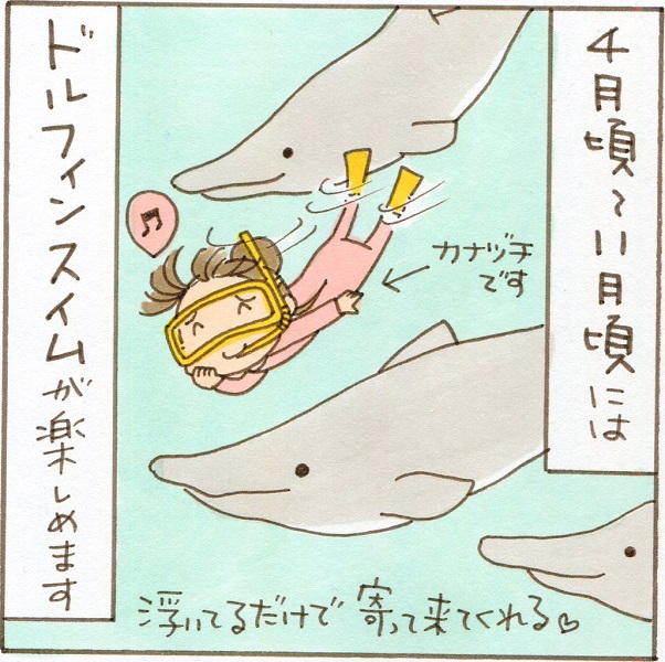 東京に野生イルカと泳げる場所が――？ 知る人ぞ知る魅惑スポットを描いた漫画「カナヅチの人もぜひ」
