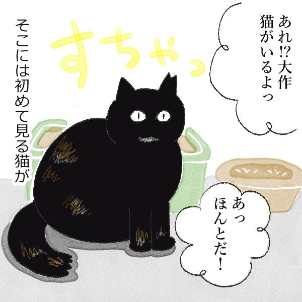 ある日、庭先にタヌキみたいな猫が！ そっとご飯をあげてみたところ……を描いた漫画「きゃんわゆ～い！」