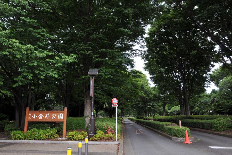 緑豊かで広大 東京の「大公園」はどのようにして誕生したのか