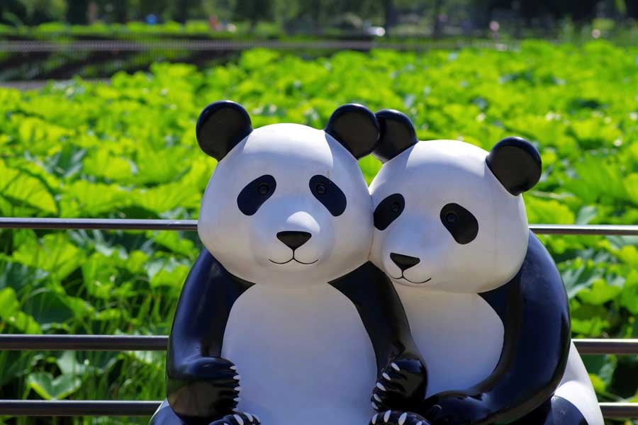 双子パンダ誕生で盛り上がる「上野動物園」 たくましき便乗商品と繁殖の歴史をたどる