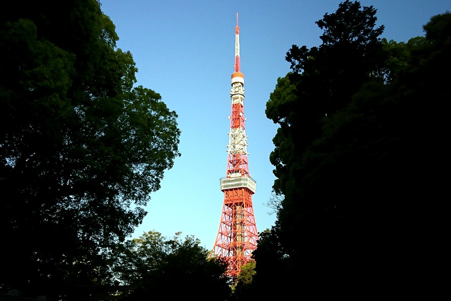 東京タワー、実は「超肥満体型」だった！ BMIを計算する猛者登場、ツイッター民2.1万人が大爆笑