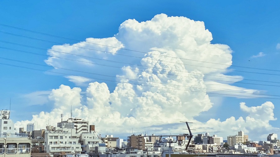 東京上空に“ラピュタ”現る！ 超巨大な入道雲の出現にジブリファンから「竜の巣」「本当にあったんだ」の声