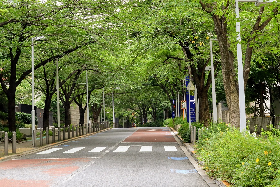 福山 大学 ゼルコバ