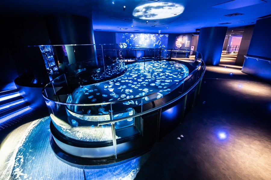 宇宙船の中みたい……幻想的な“クラゲ水族館”にSNSうっとり「すごく癒やされます」