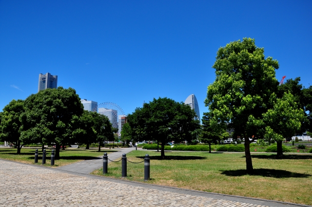 自然の少ない東京が「公園数No.1」の理由