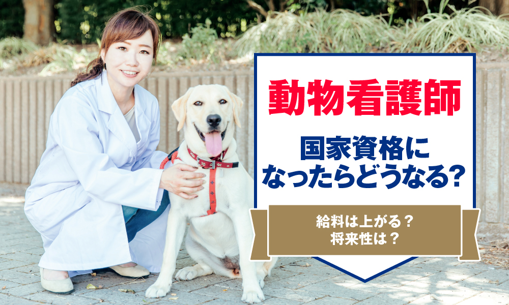 動物看護師による動物看護用語500 販売