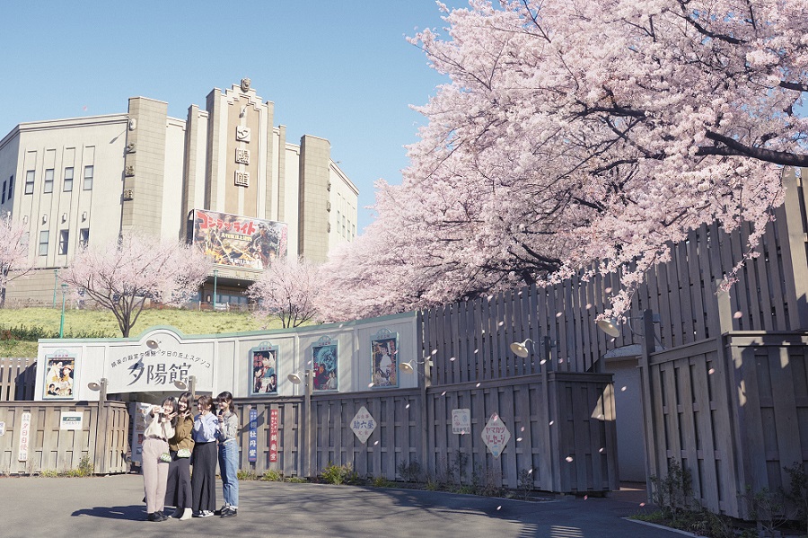 桜500本も満開に！豪華列車レストランや特撮映画アトラクションが登場する2023年の「西武園ゆうえんち」