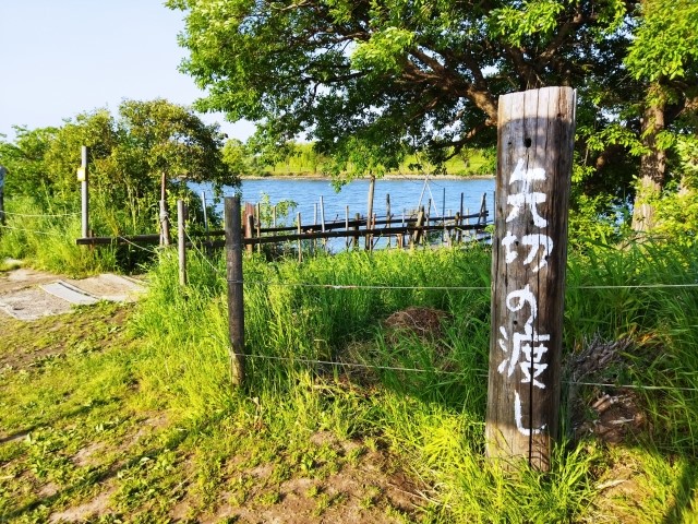 /wp-content/uploads/2023/04/8_shibamata-walk.jpg