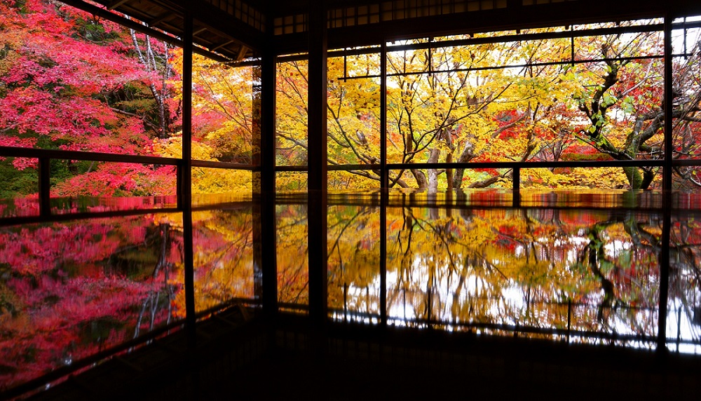 京都の「紅葉」を楽しむ日帰り旅おすすめルート！宿泊したくなるライトアップ情報も