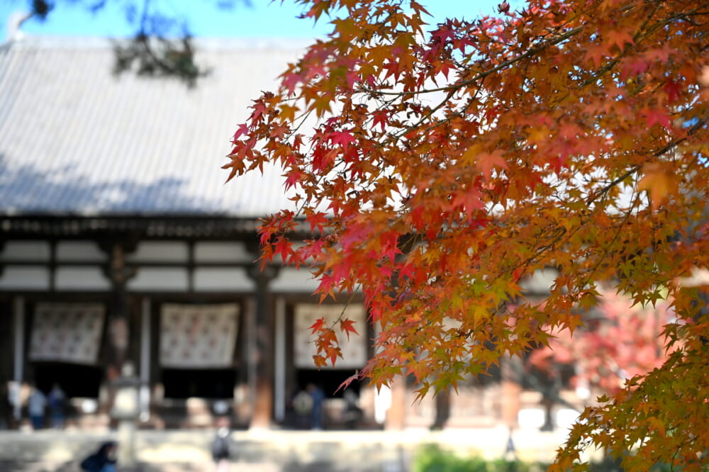 古都・奈良を旅する！写真映えする癒やしの世界遺産「新・南都八景」