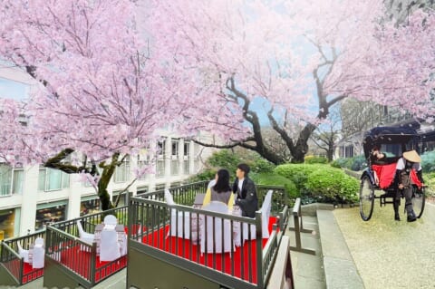 takanawasakura_1-480x319.jpg