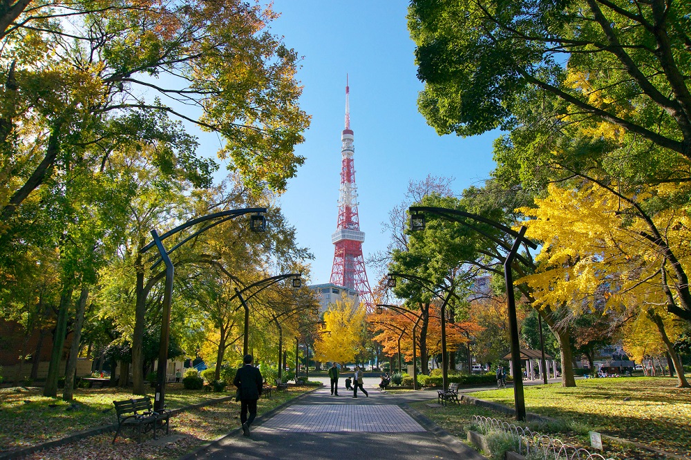 東京の歴史と森の魅力発見！「TOKYO ウォーク 2024」