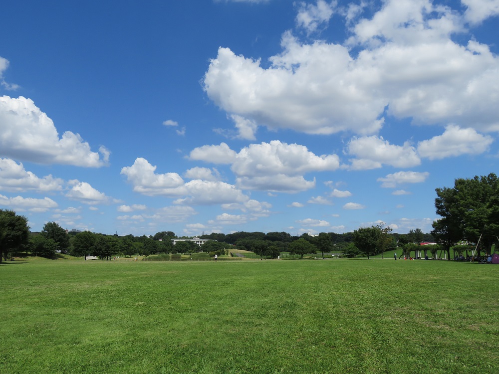 武蔵野の森公園・大芝生広場