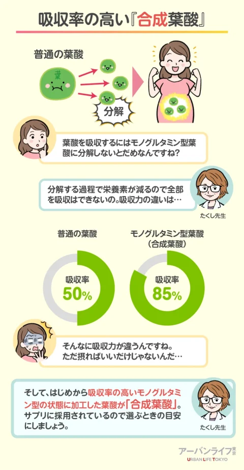 合成葉酸は吸収性が高い