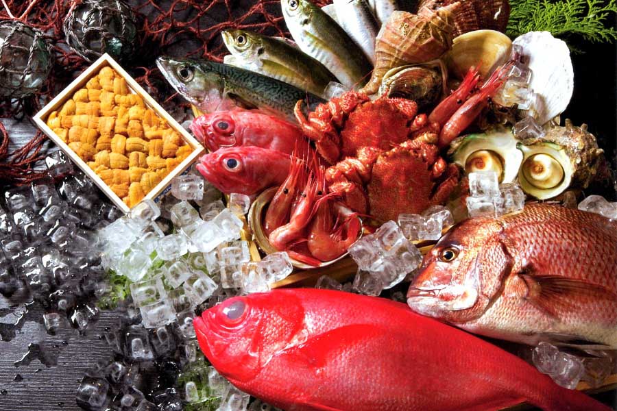 日本から消える「魚食」――尋常ならない危機感に市民たちが動き出した